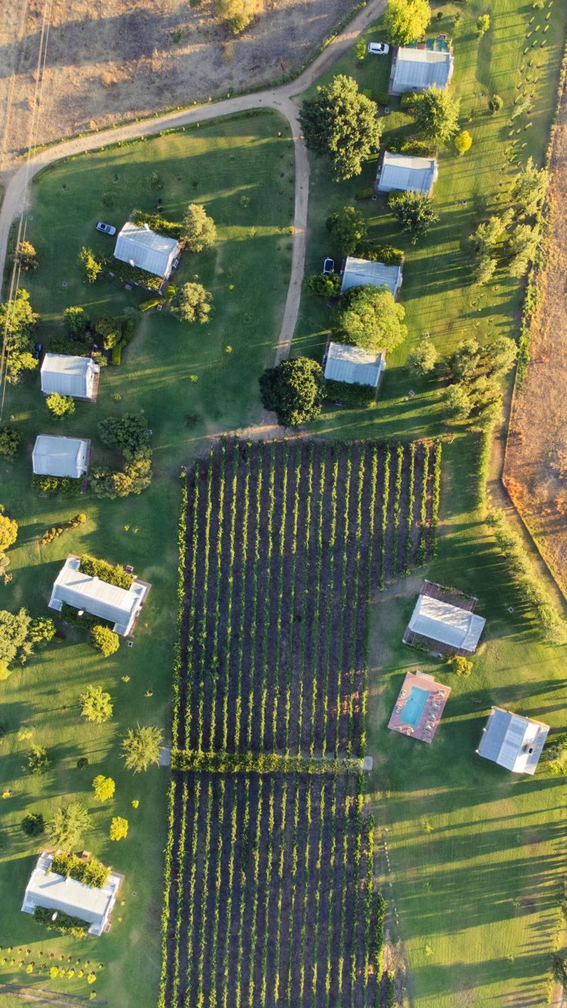 Saronsberg Vineyard Cottages Tulbagh Exterior foto